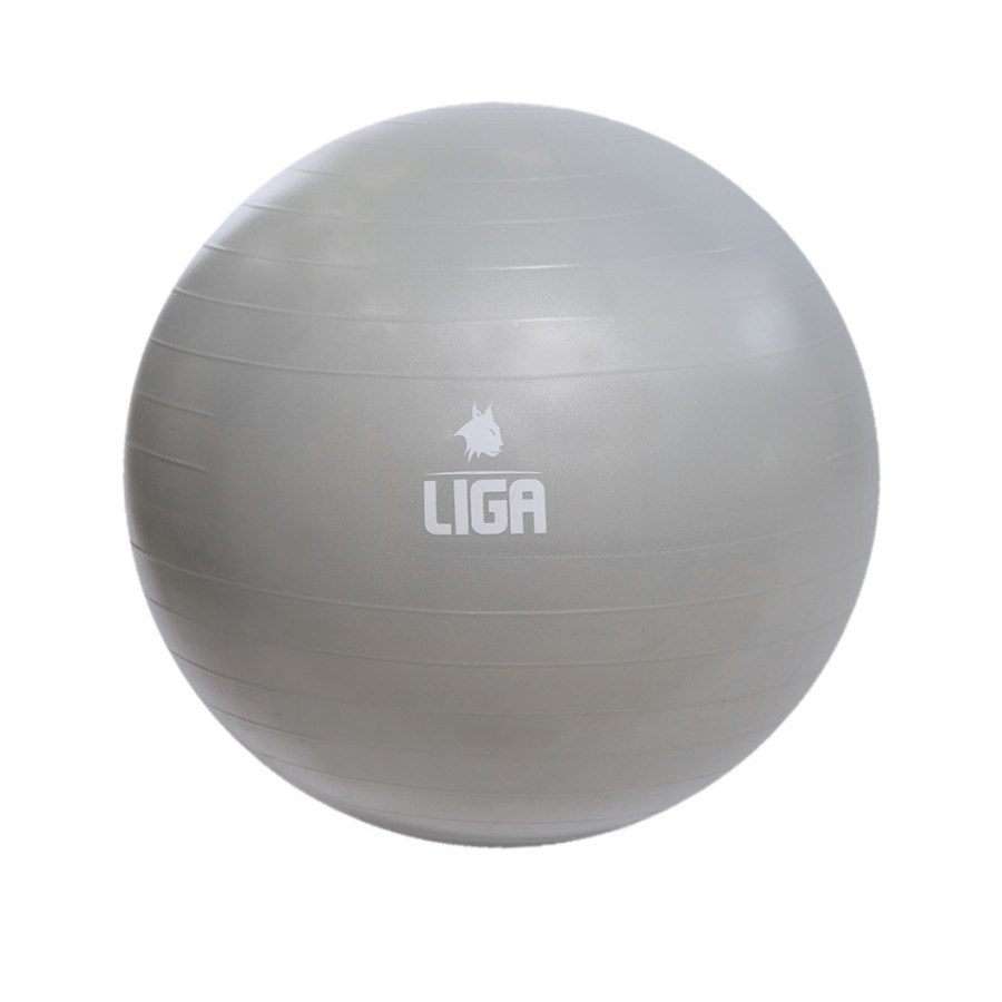 Gym Ball 55cm (grey) LIGASPORT*